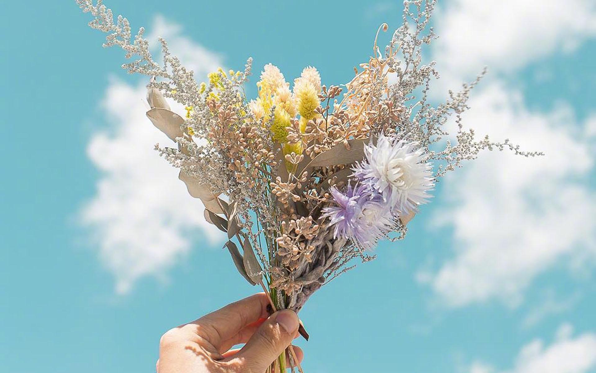 冬日暖阳鲜花的唯美句子_不负冬日暖阳的唯美句子