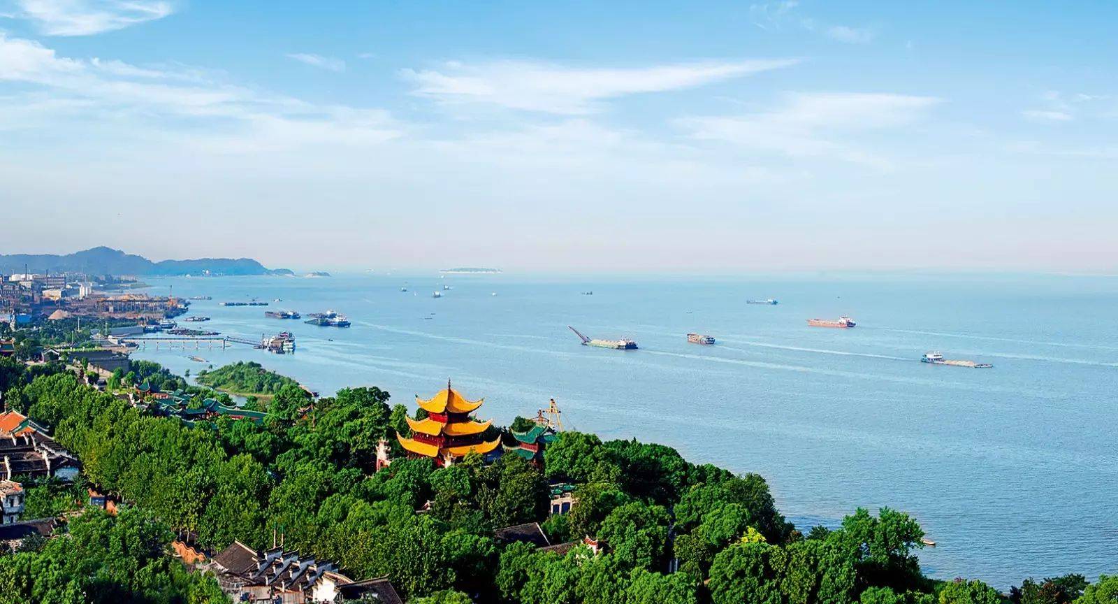 洞庭湖里一块磨，只许看，不许坐。 （打一植物