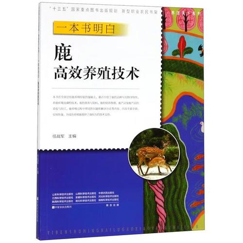 金正恩深夜赴锦绣山太阳宫祭父