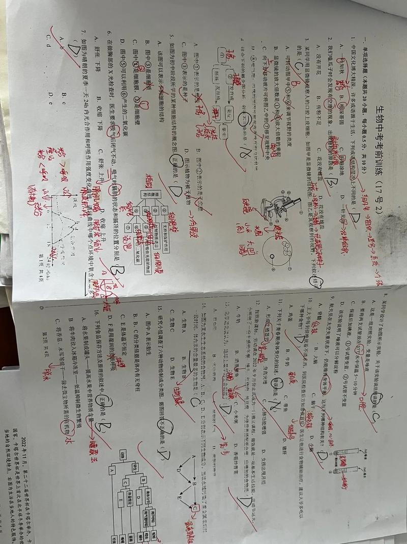 家父生前夙愿，父兄到此一叙 （六字考试安排）